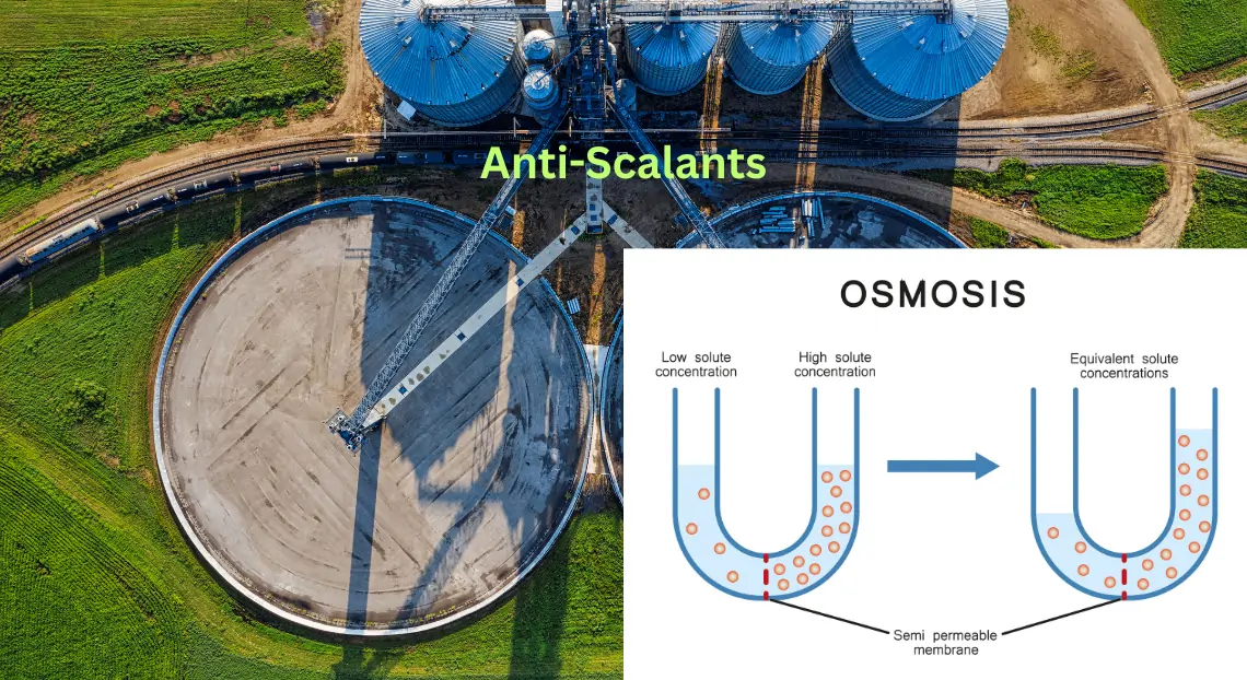 What Are Anti-Scalants? Types, Uses, and Benefits in Water Treatment
