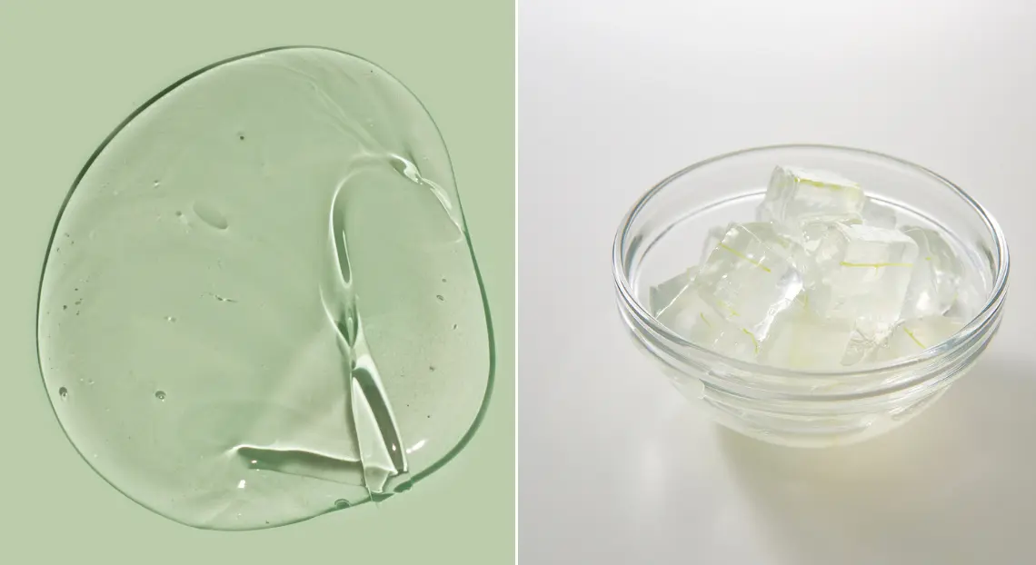Polyacrylamide Gel vs Agarose Gel: Complete Comparison