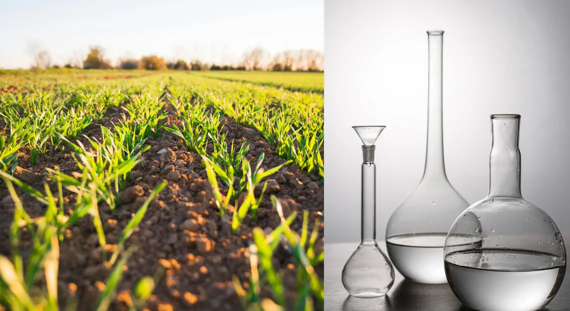 What Is Sulphuric Acid? Properties, Uses, Production, and Safety